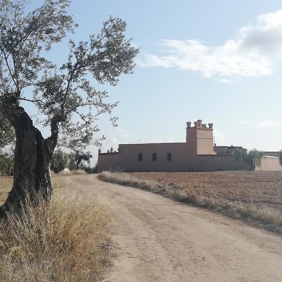 Albergue Turistico La Almazara Villafranca de los Barros Exterior photo